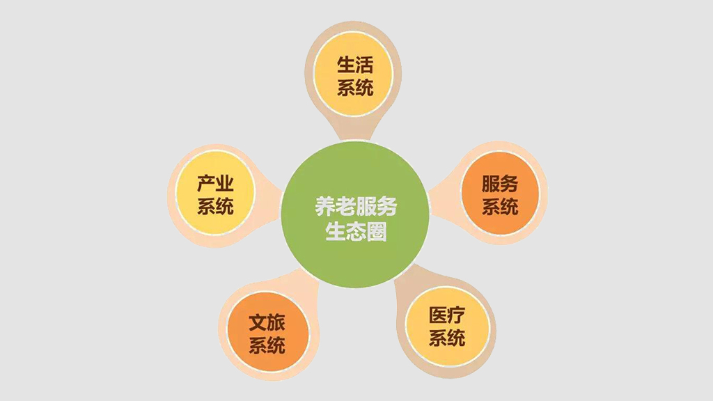 打造养老数字化平台 赋能养老行业规?；⒄?图10)